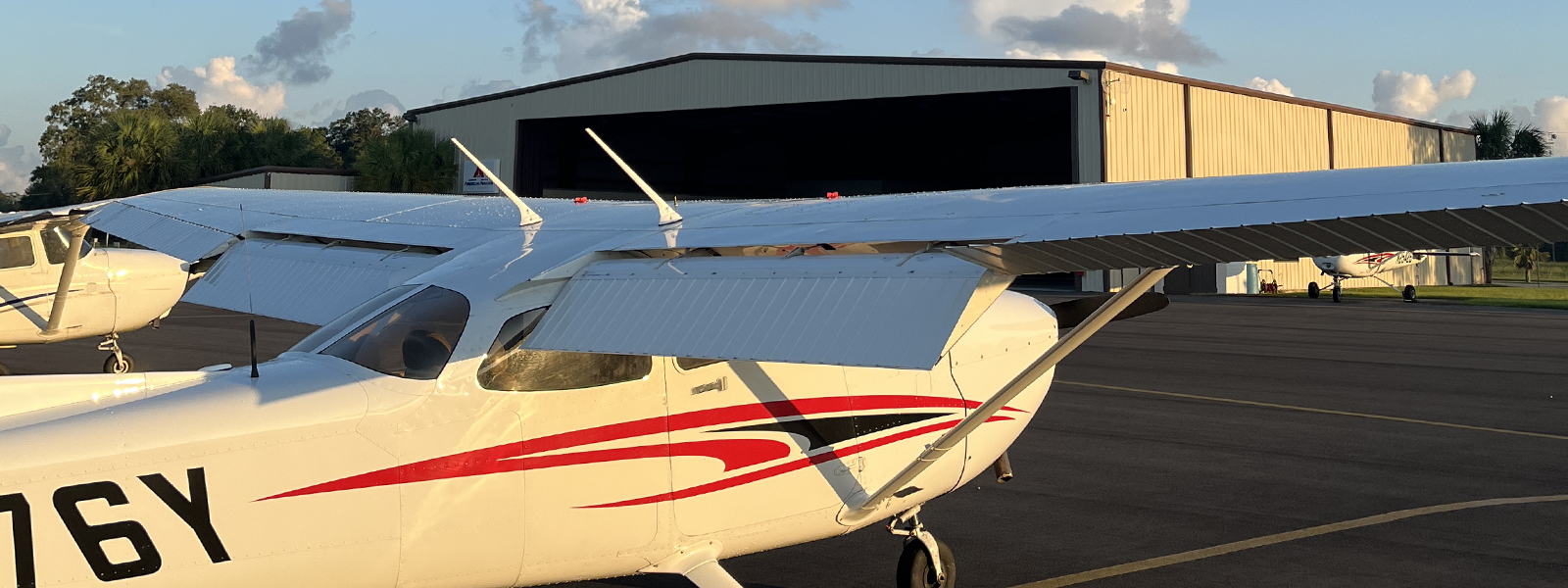 Sunset Flight